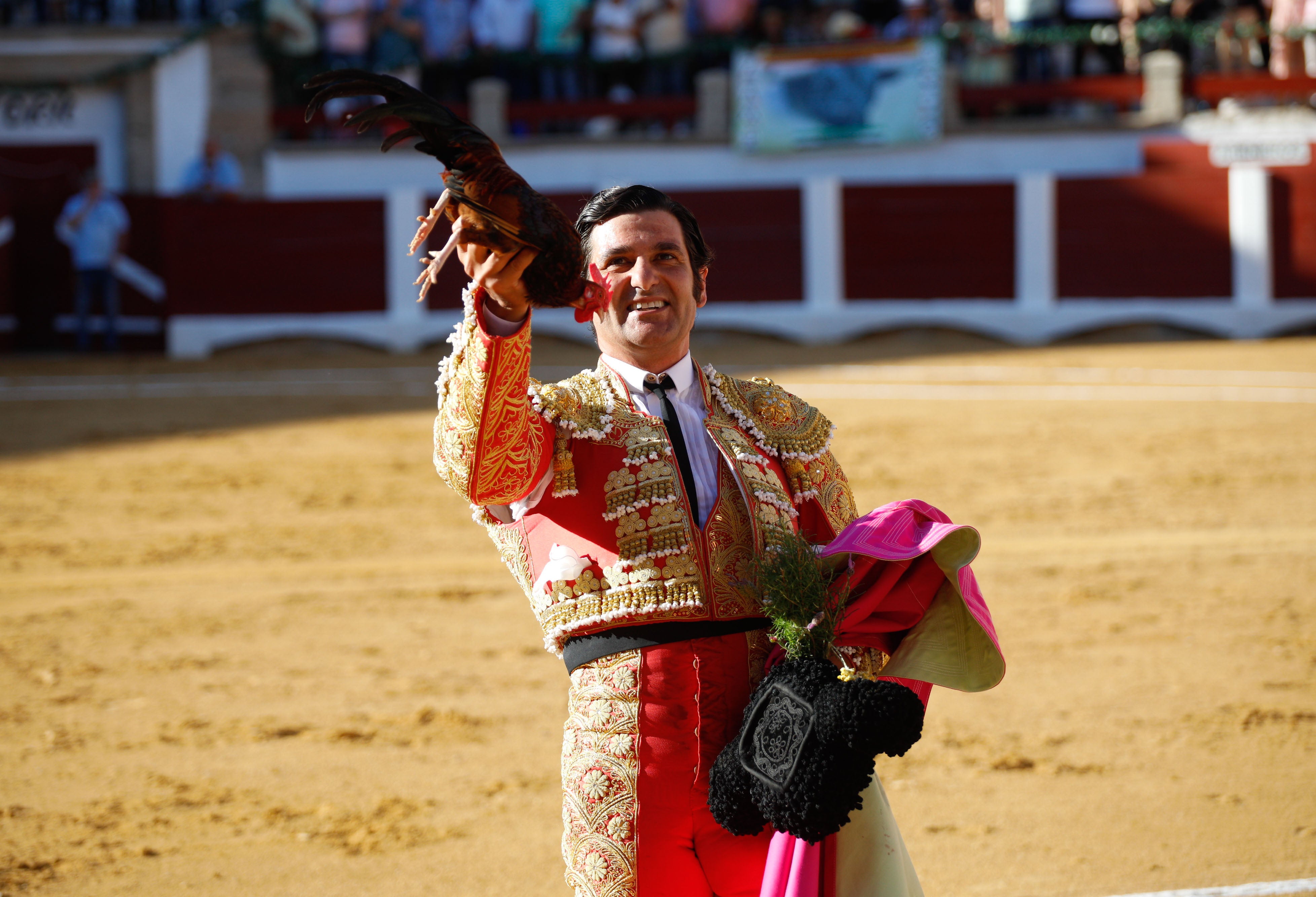 Fotos | Las mejores imágenes del regreso de los toros a Cáceres (I)