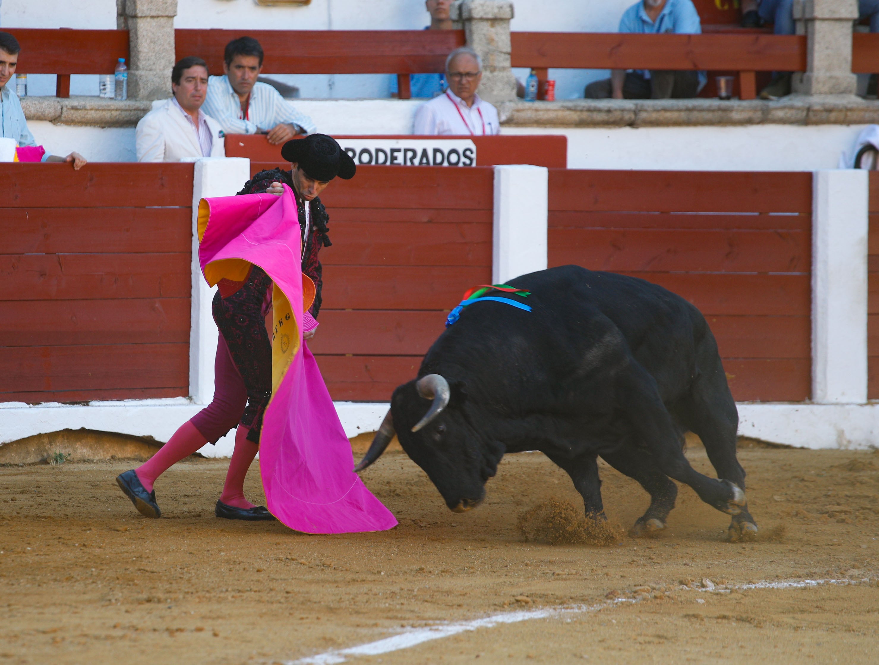 Fotos | Las mejores imágenes del regreso de los toros a Cáceres (I)