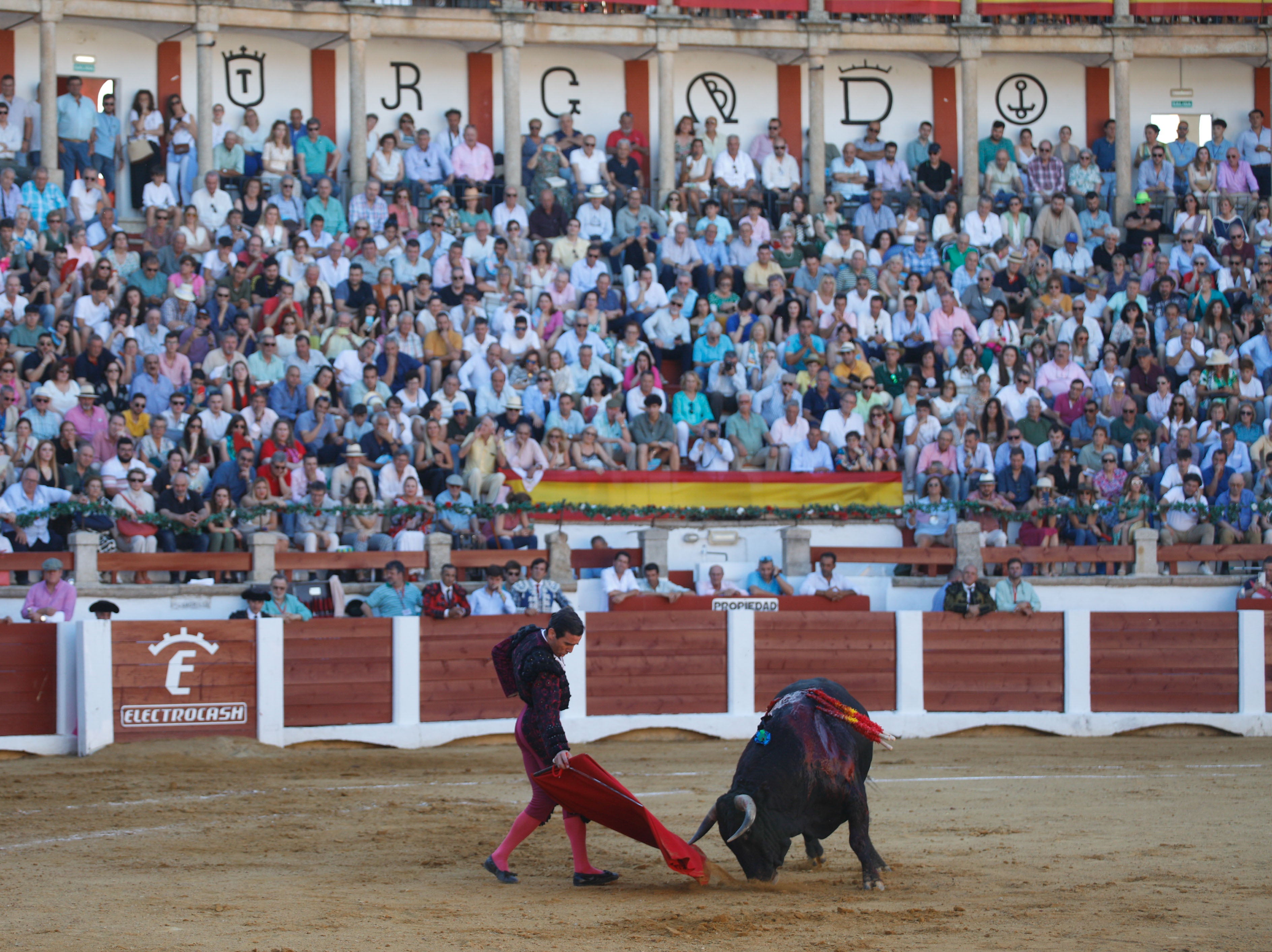 Fotos | Las mejores imágenes del regreso de los toros a Cáceres (I)