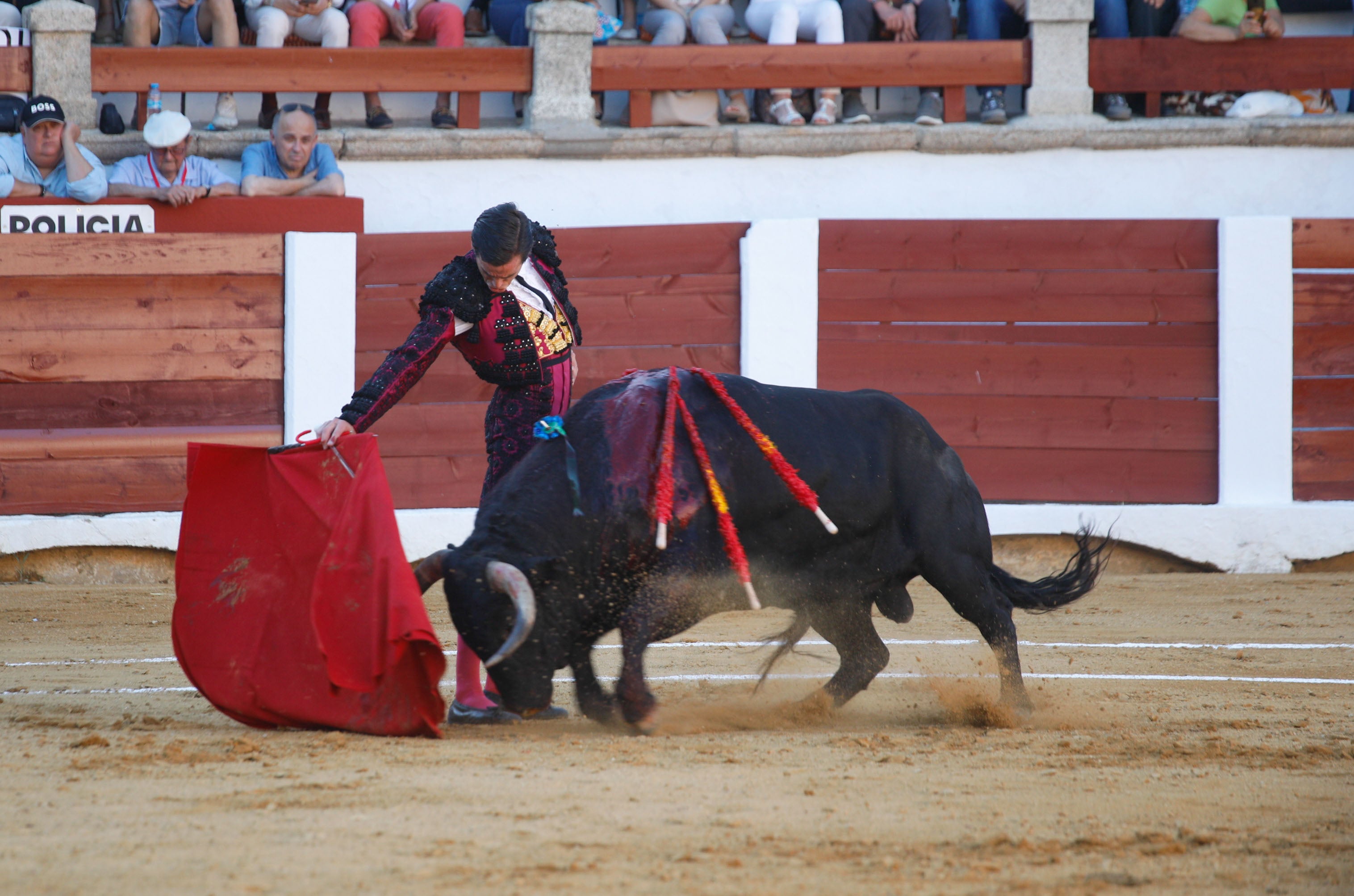 Fotos | Las mejores imágenes del regreso de los toros a Cáceres (II)