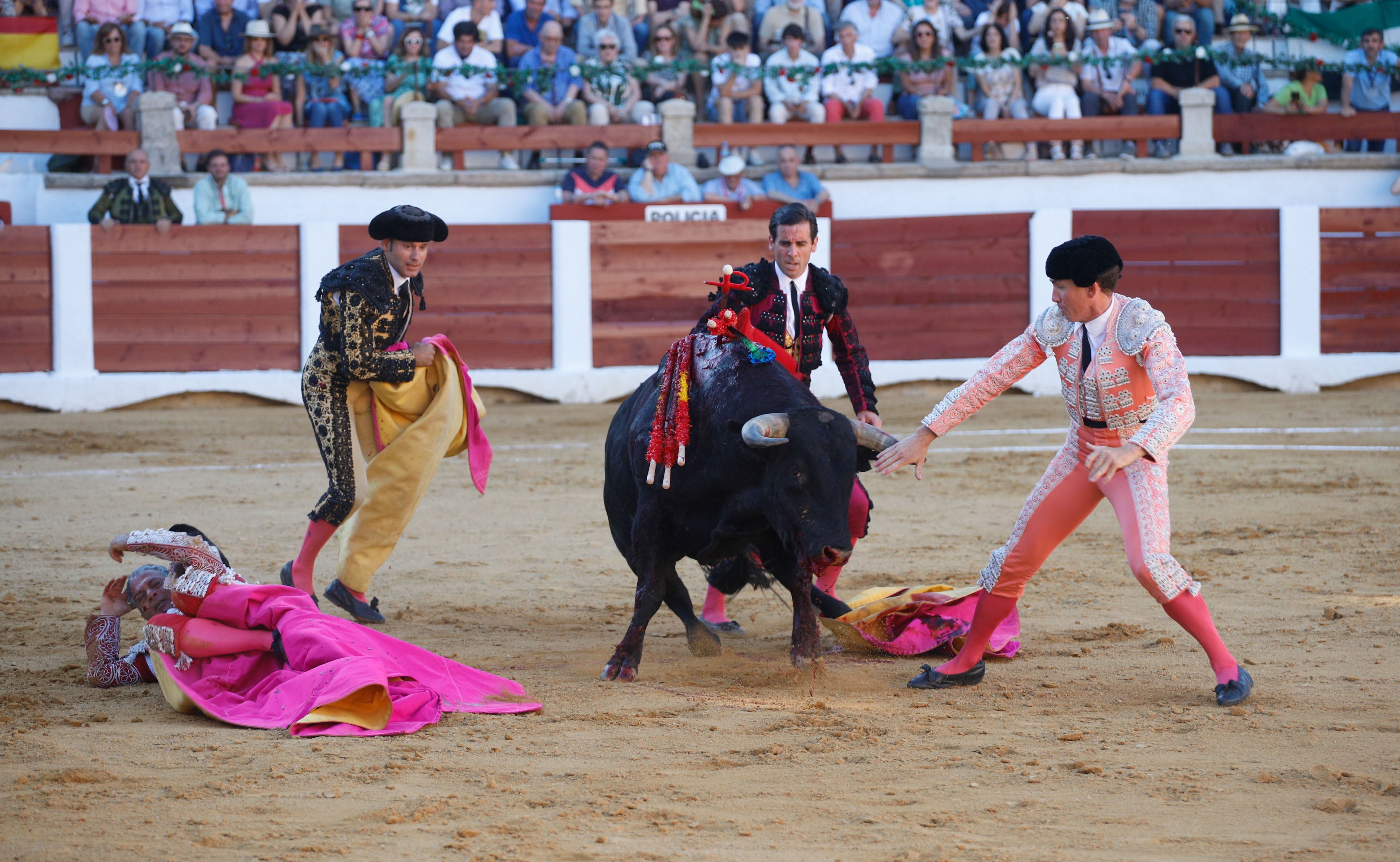 Fotos | Las mejores imágenes del regreso de los toros a Cáceres (II)