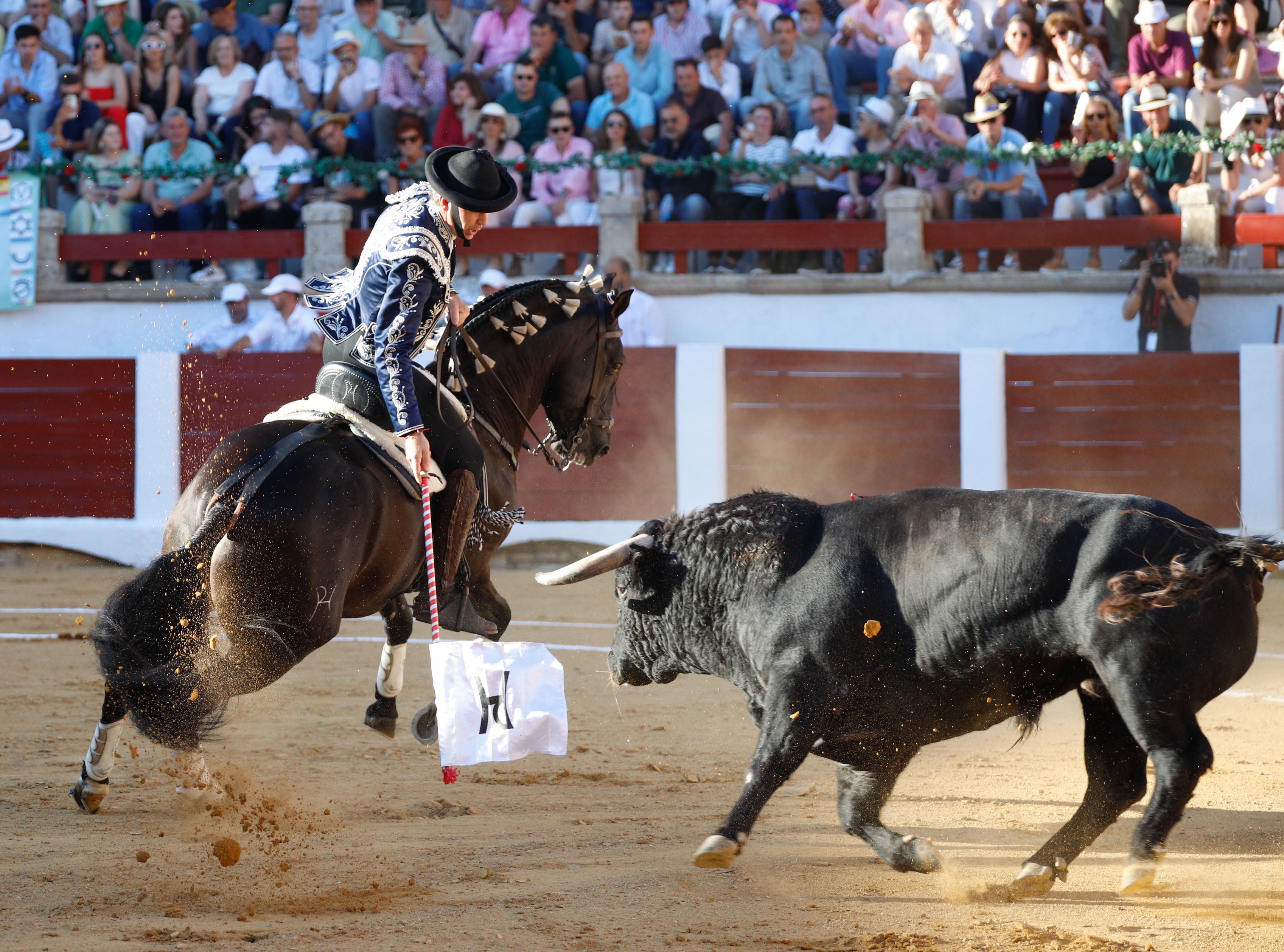 Fotos | Las mejores imágenes del regreso de los toros a Cáceres (II)