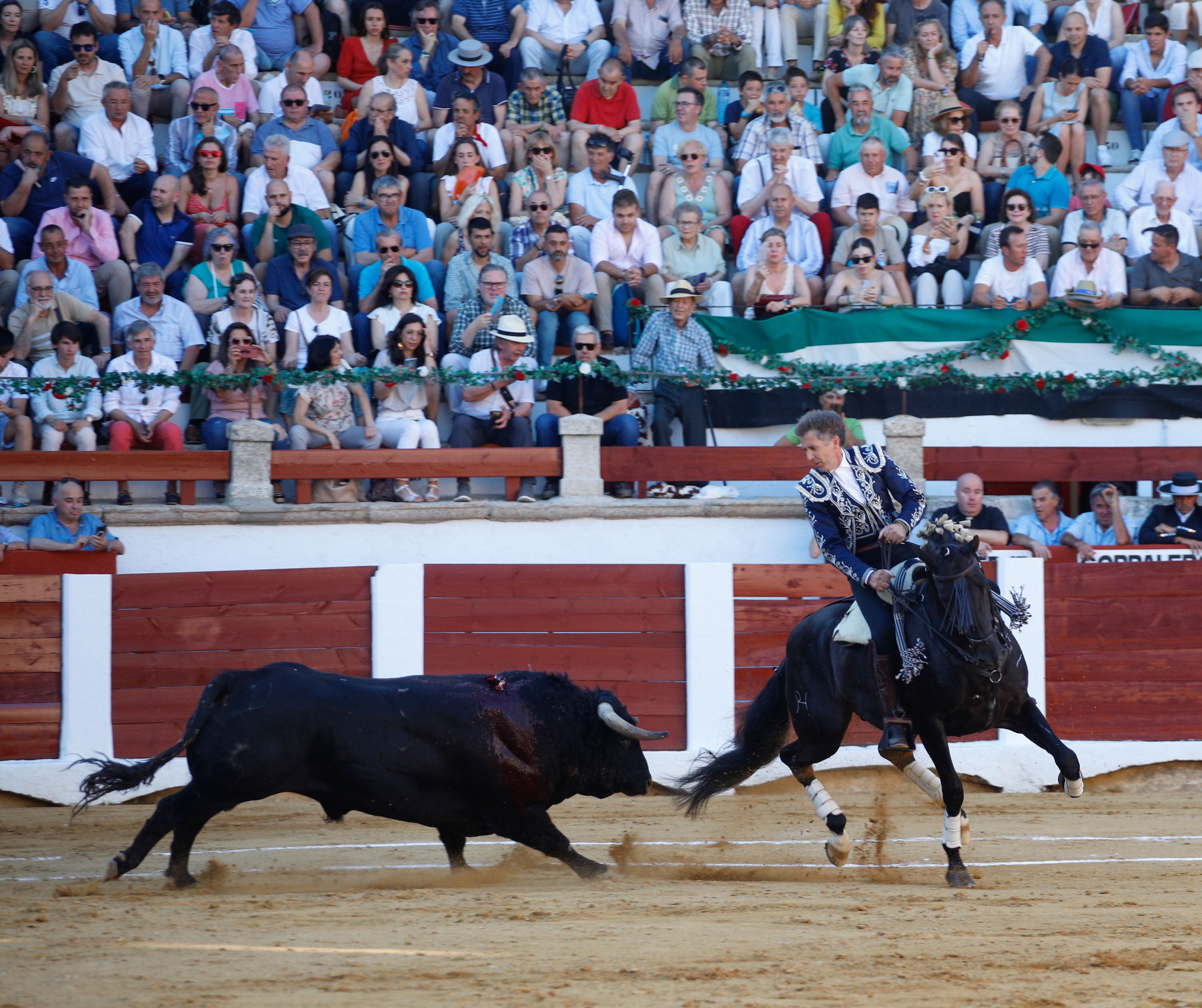 Fotos | Las mejores imágenes del regreso de los toros a Cáceres (II)