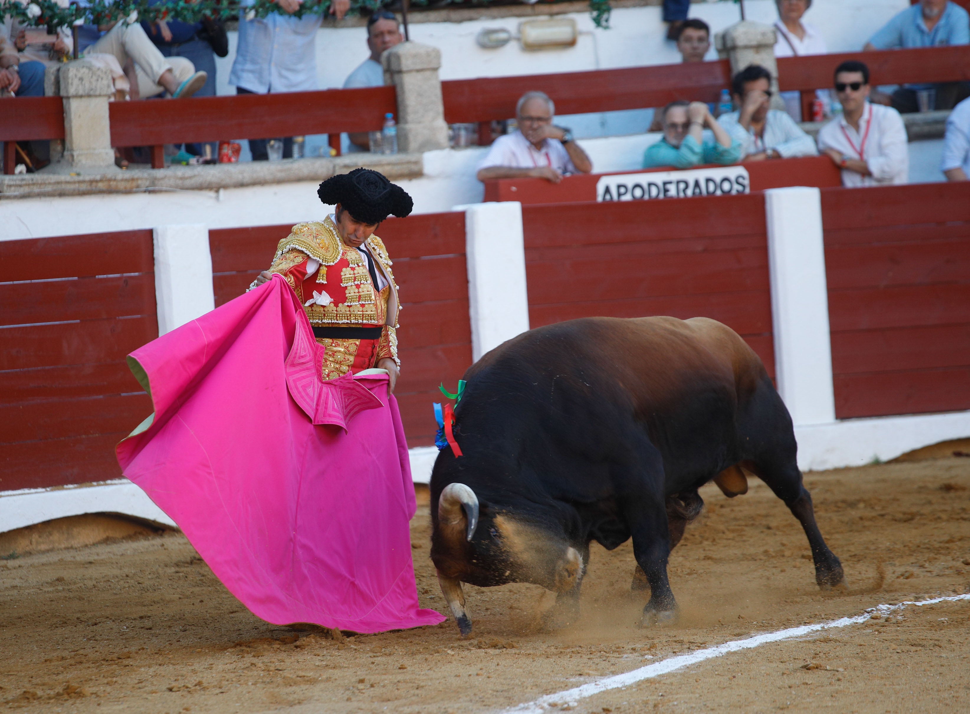 Fotos | Las mejores imágenes del regreso de los toros a Cáceres (II)