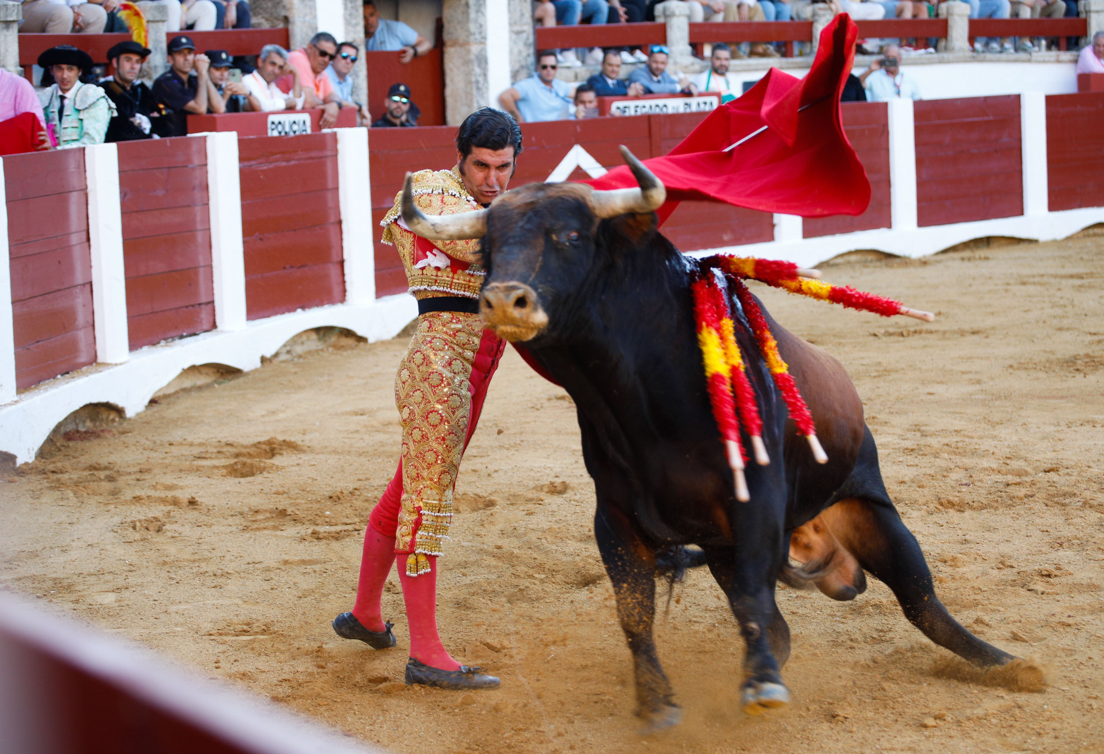 Fotos | Las mejores imágenes del regreso de los toros a Cáceres (II)