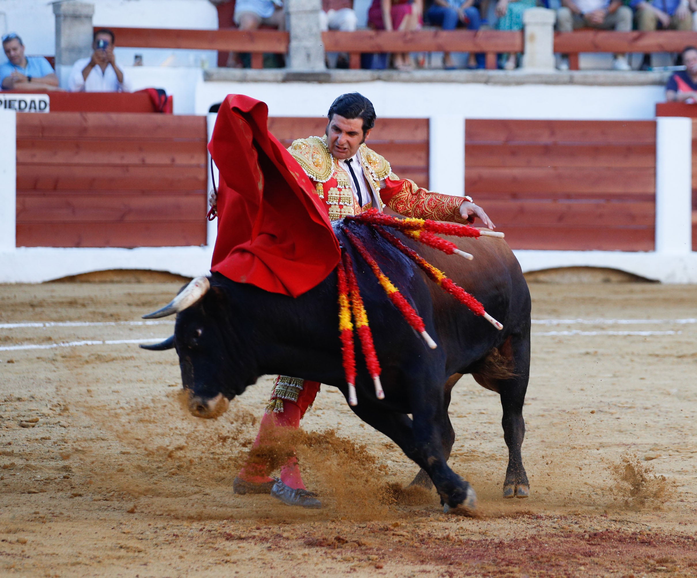 Fotos | Las mejores imágenes del regreso de los toros a Cáceres (II)