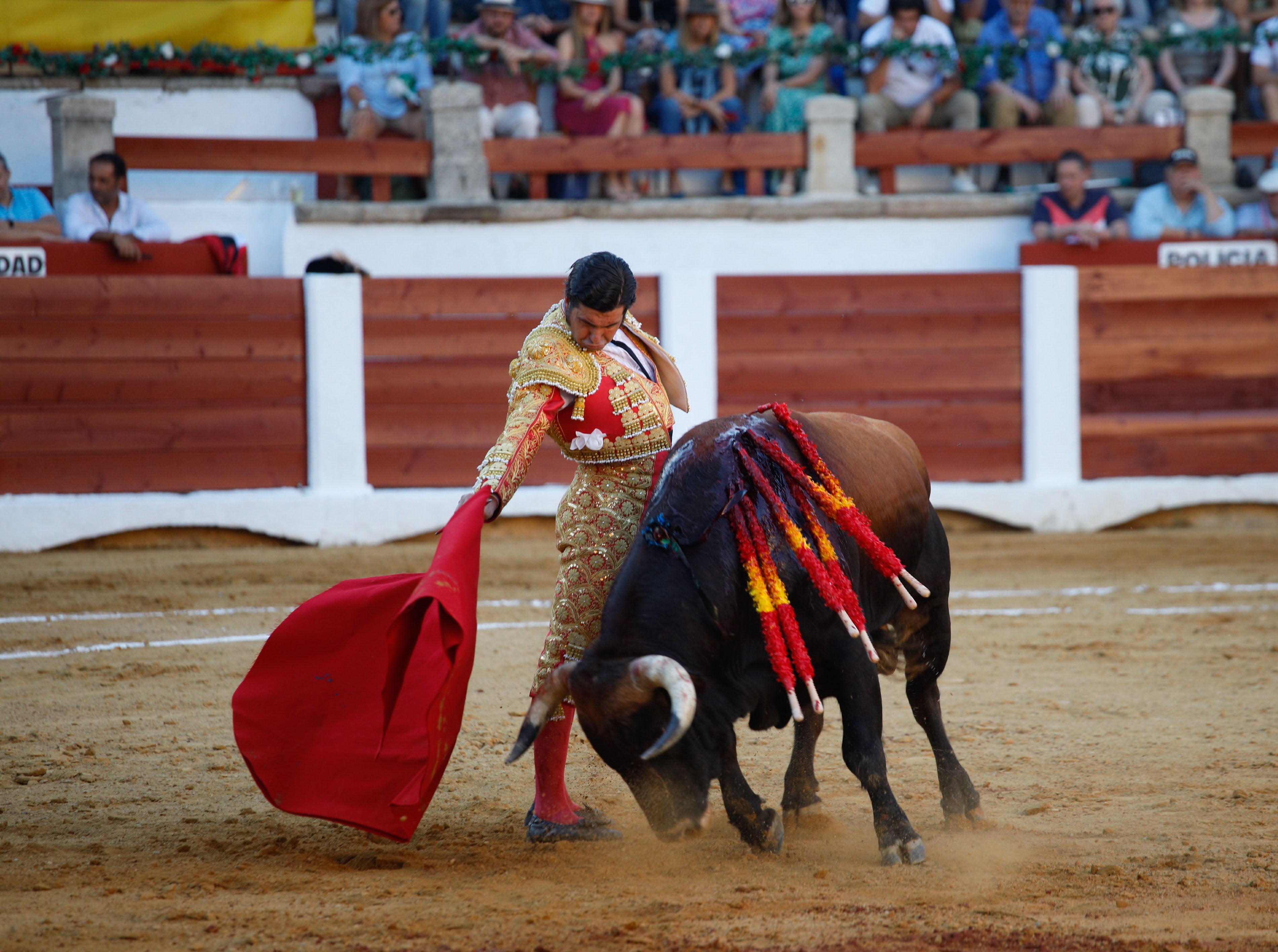 Fotos | Las mejores imágenes del regreso de los toros a Cáceres (II)