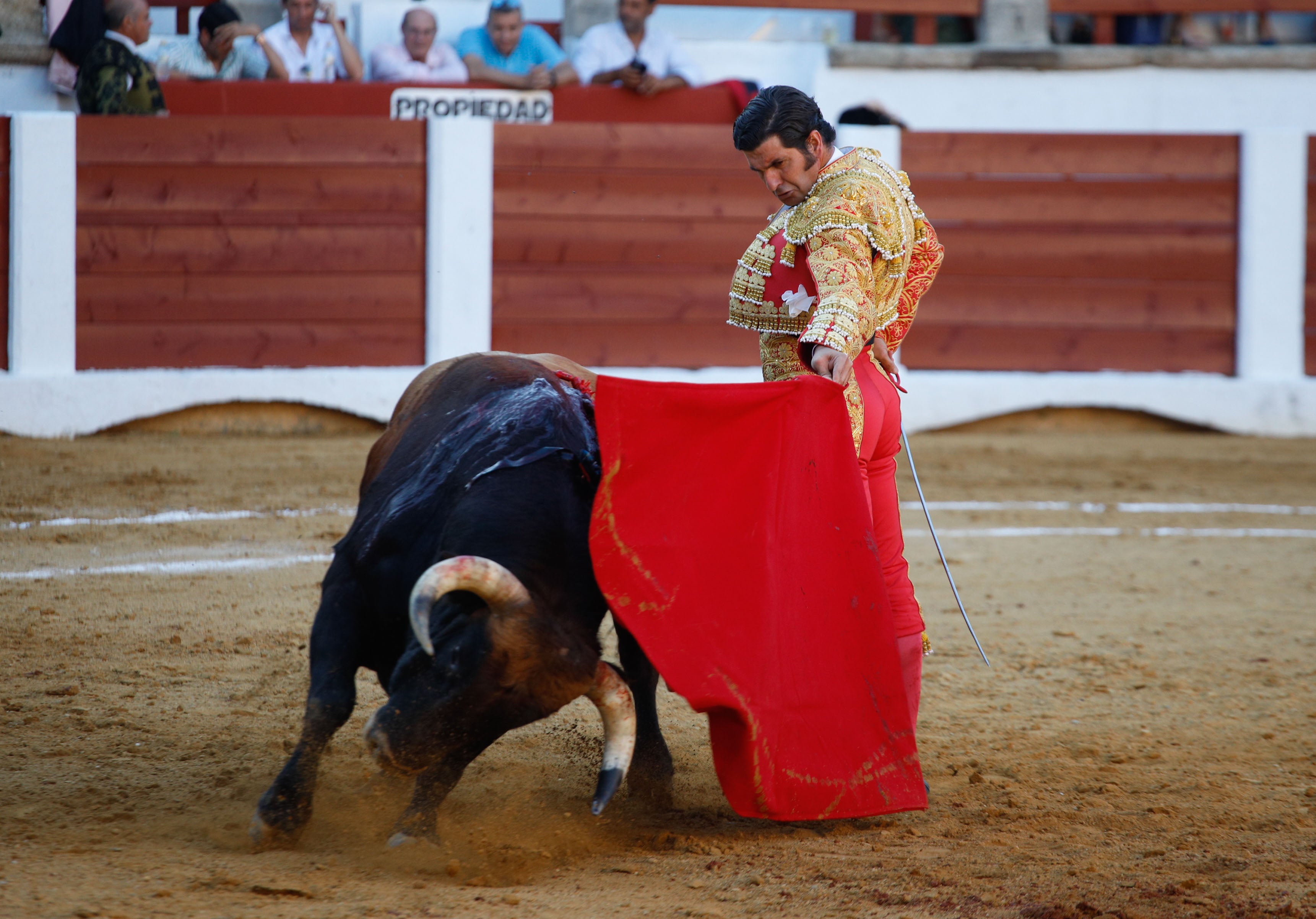 Fotos | Las mejores imágenes del regreso de los toros a Cáceres (II)