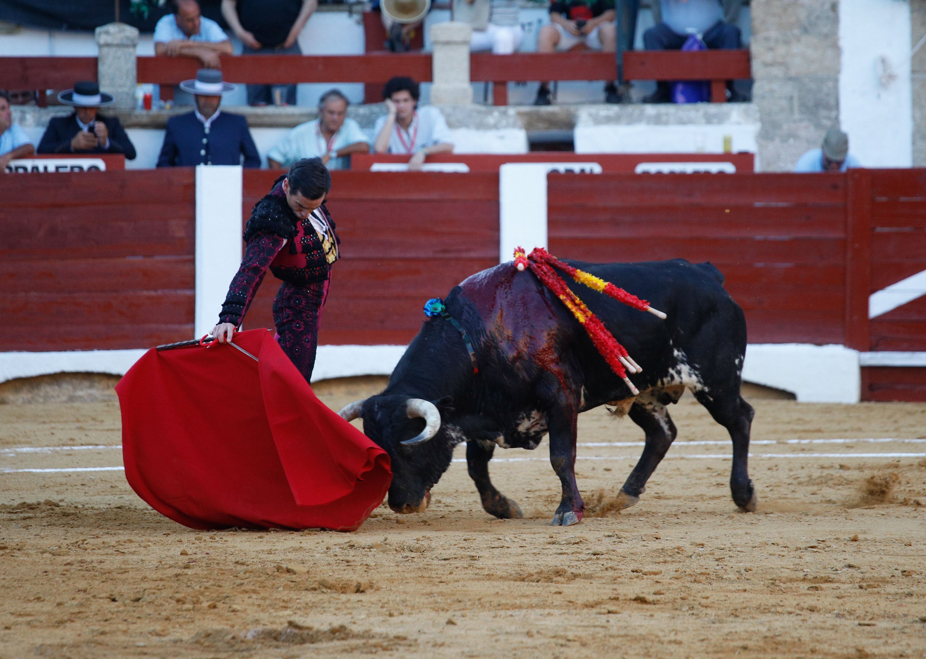 Fotos | Las mejores imágenes del regreso de los toros a Cáceres (II)