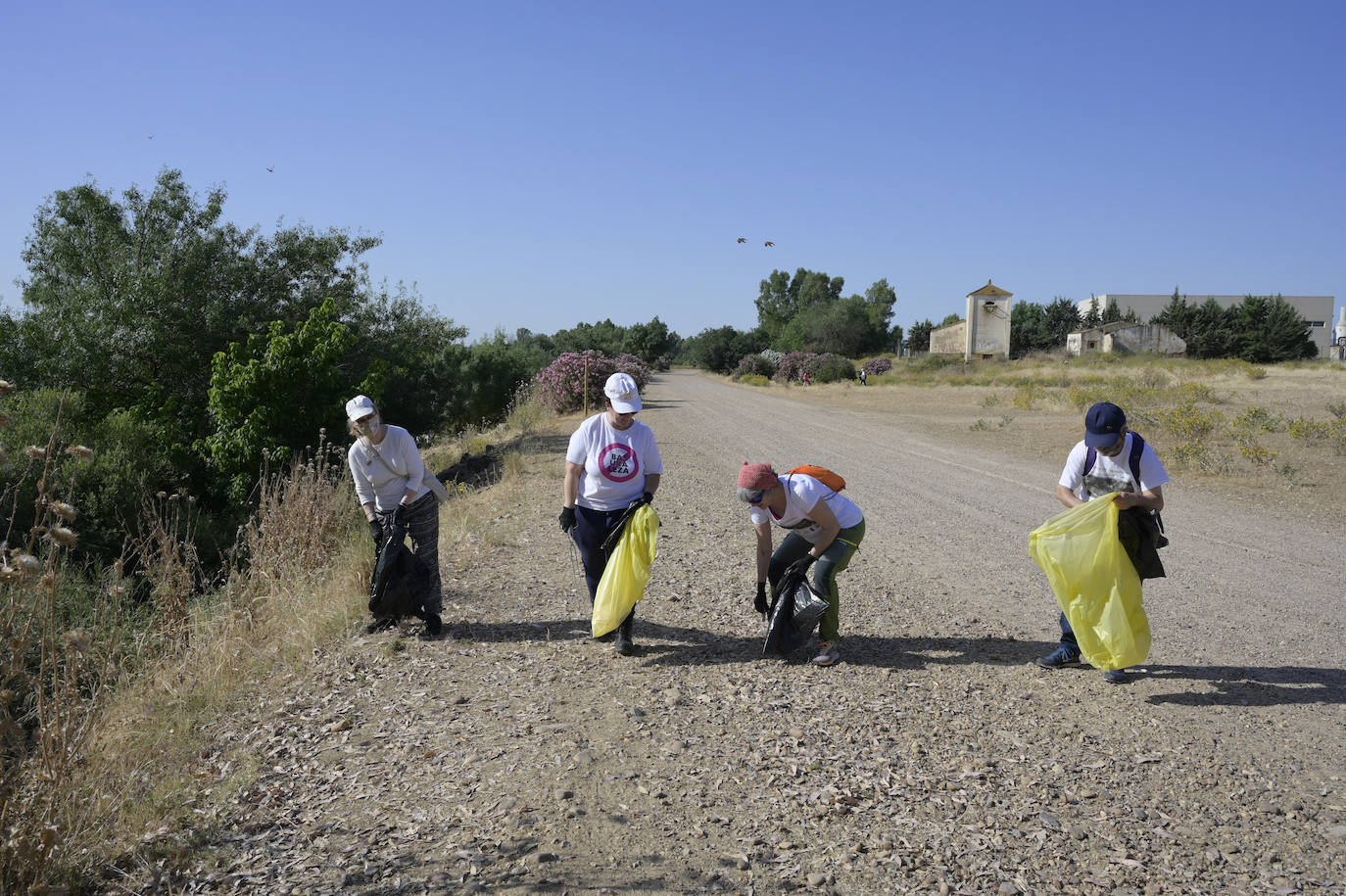 Imágenes de la jornada de limpieza de basura en el río Guadiana en Badajoz