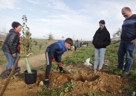 Plantación en el Parque de los Olmos, símbolo de colaboración en el distrito norte.