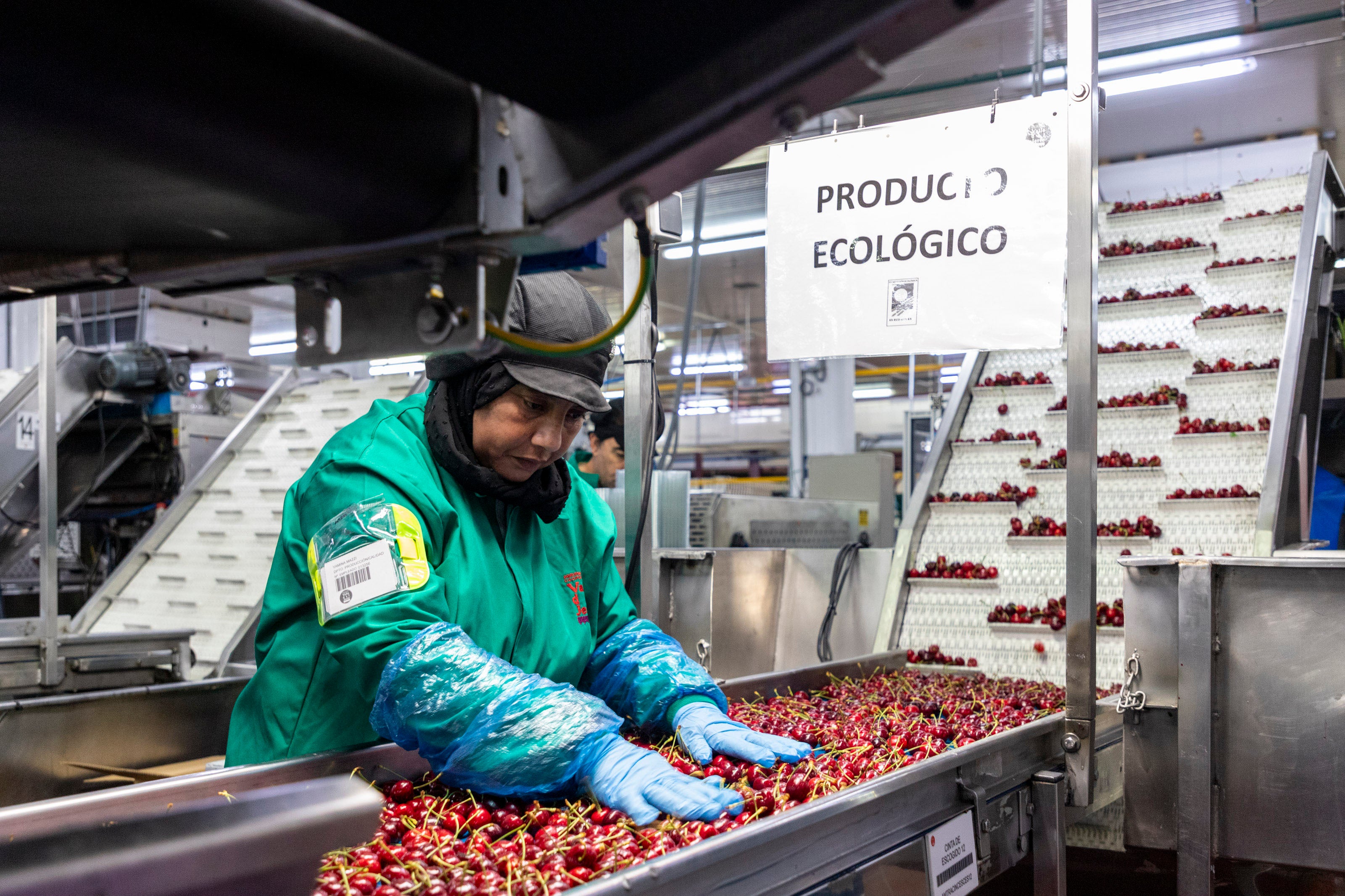 Máquinas y trabajadores se complementan durante el proceso.