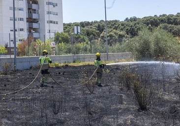 Un incendio causa alarma en el Junquillo de Cáceres por la intensidad de las llamas