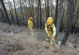 Bomberos forestales del Infoex trabajando en una zona recién quemada.