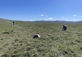 Trabajo del equipo del Instituto de Arqueología de Mérida con el georradar.