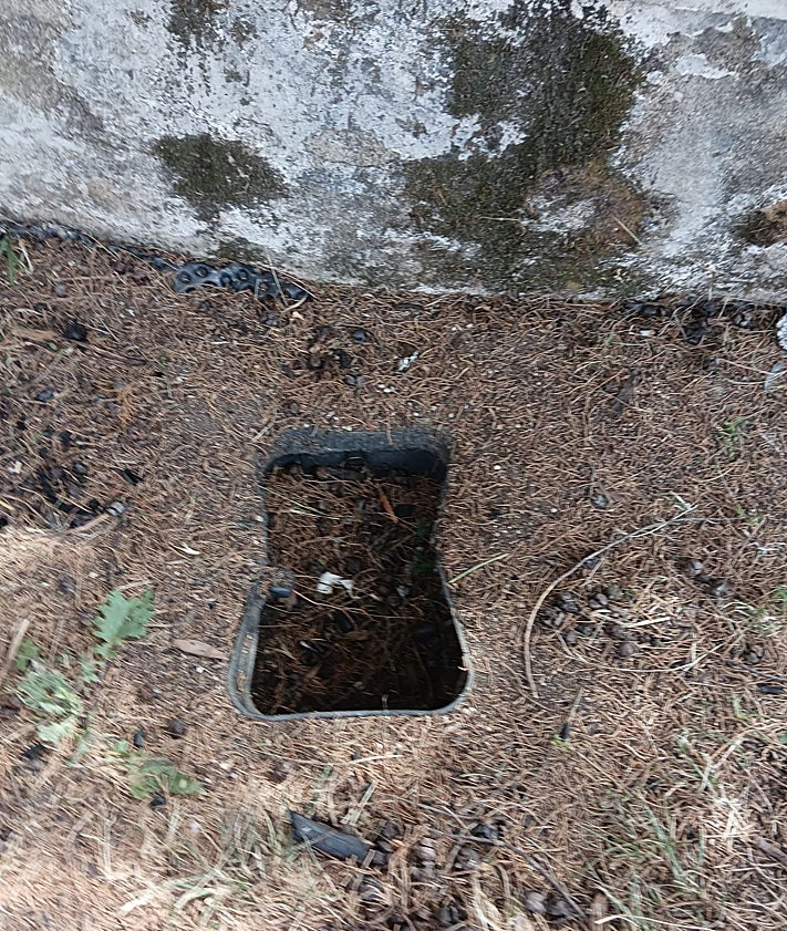 Imagen secundaria 2 - Arriba, deterioro del césped, seco o con calvas con la piscina al fondo. Debajo, plato de baño sin ducha. Sobre estas líneas, una caja de registro abierta en pleno suelo.