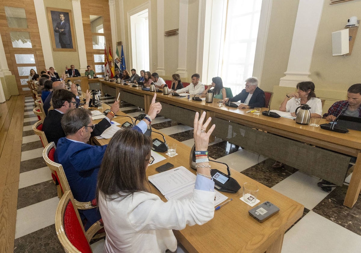 Momento en el que los concejales de Vox (primeros por la izquierda) votan a favor junto a los ediles del PP del plan de inversiones y la deuda cero.