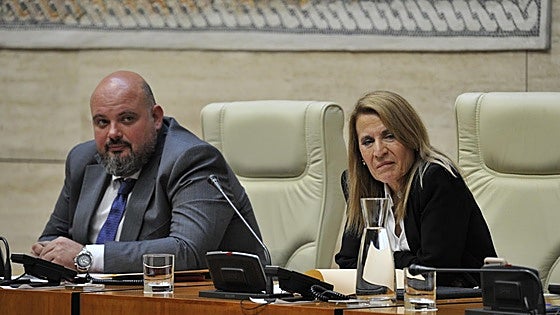 Elena Nevado sigue la estela del error de Casero y permite aprobar una propuesta del PSOE