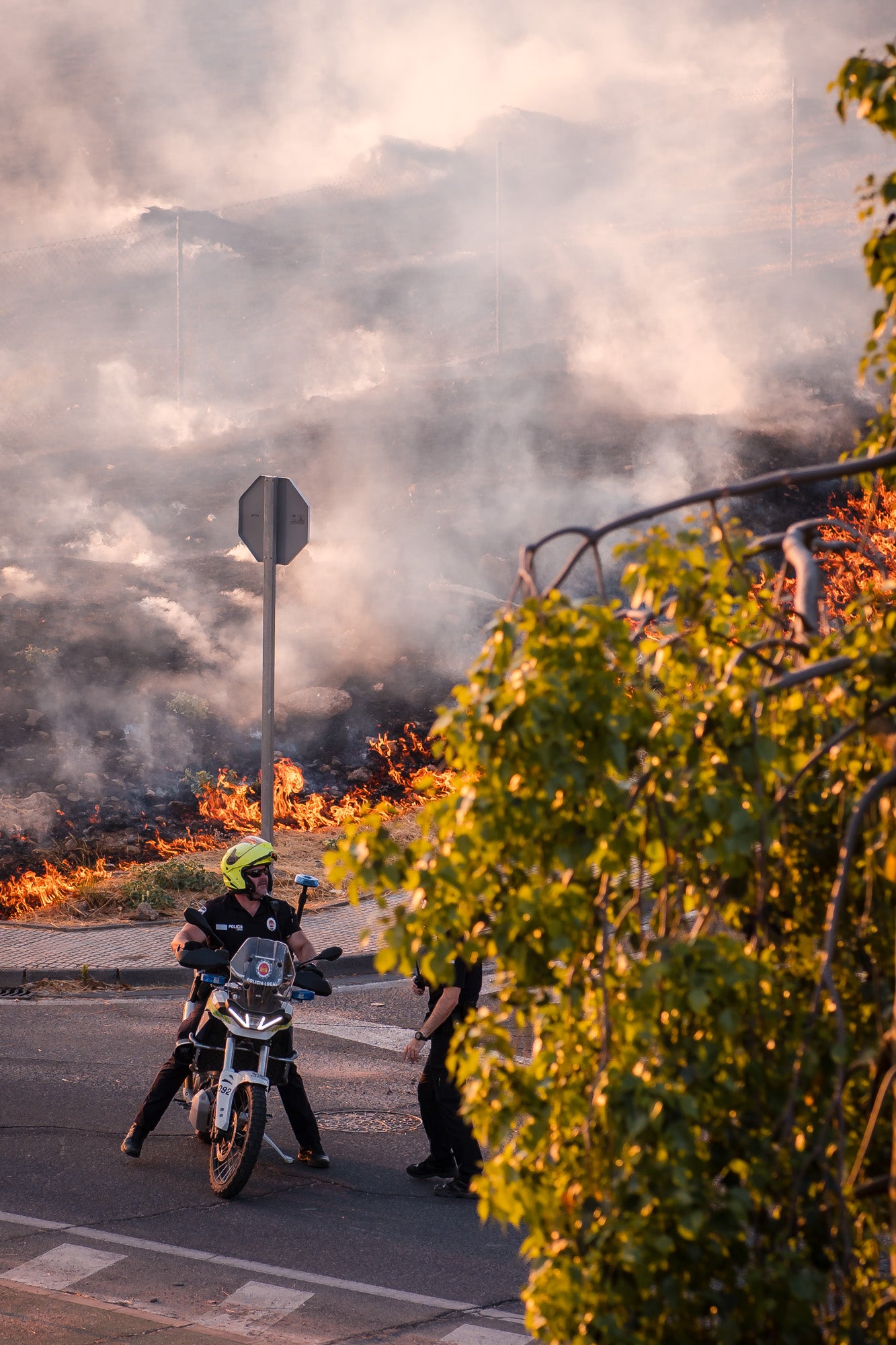 Así ha sido el llamativo incendio de pastos en Mérida