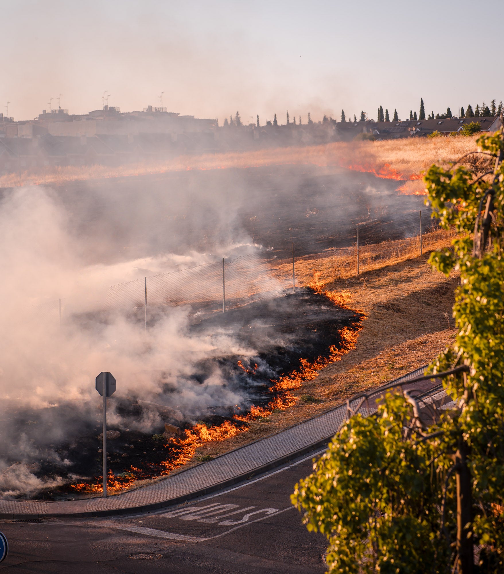 Así ha sido el llamativo incendio de pastos en Mérida