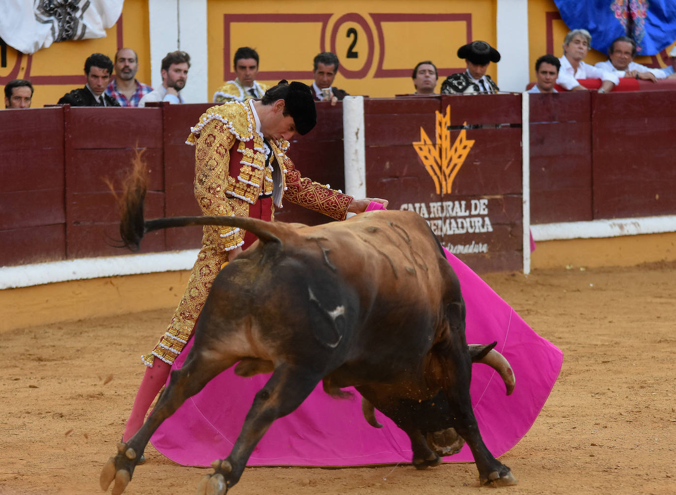 Vigésimo aniversario de la alternativa de Perera, en imágenes
