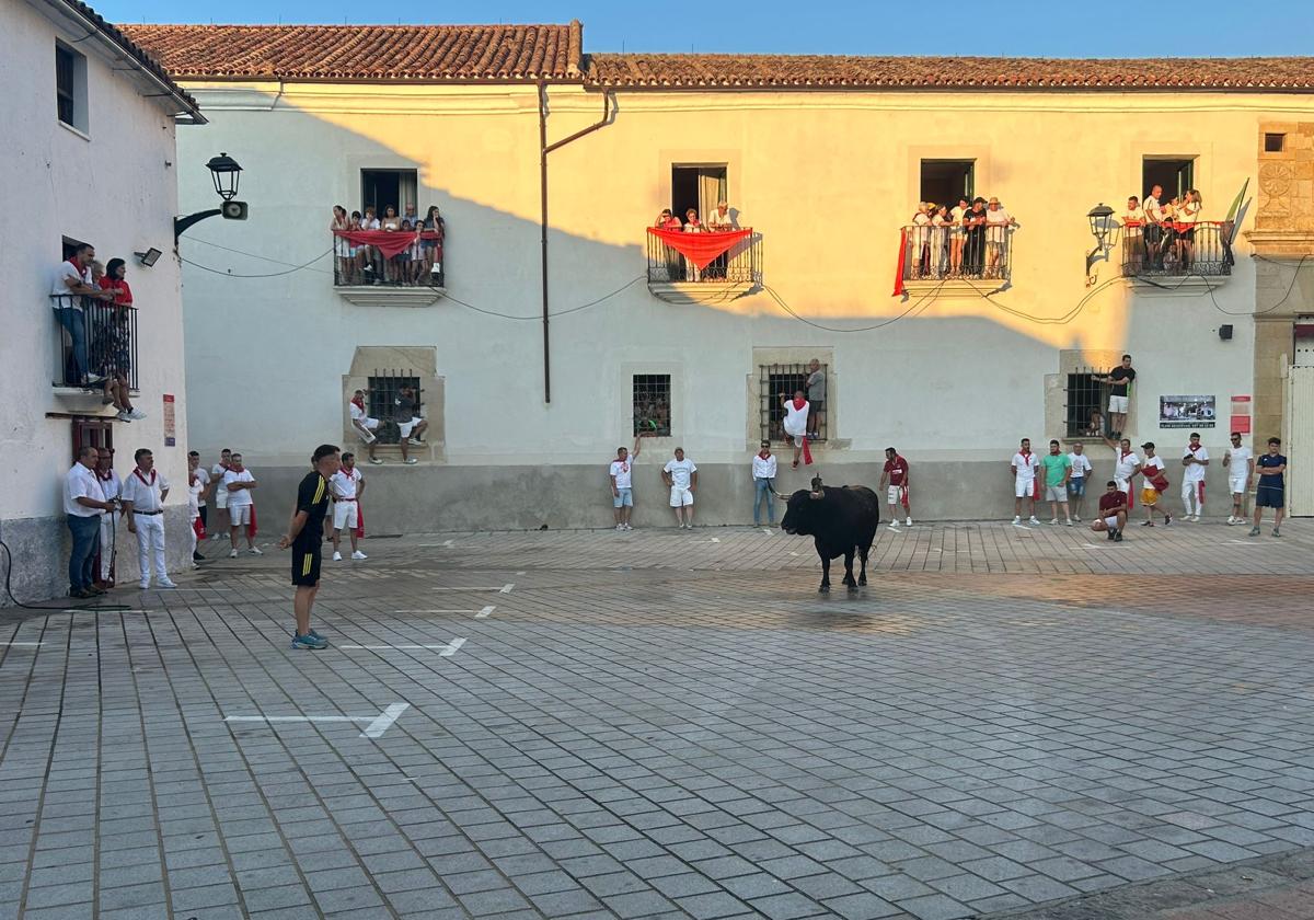 Primer herido en San Juan durante la lidia de Brezo