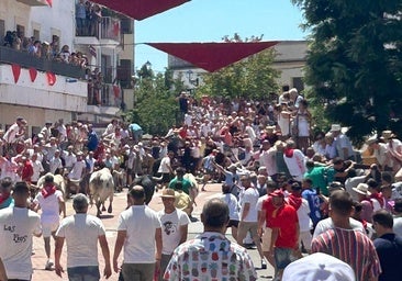 Brezo protagoniza un encierro limpio y emocionante