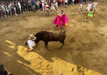 Así ha sido el espeluznante revolcón de un toro a un hombre en Coria