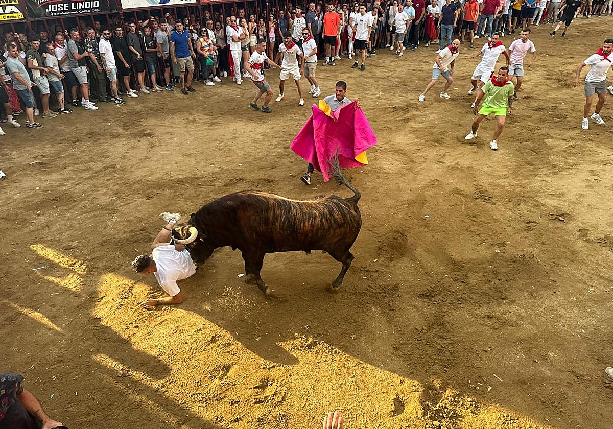 Así ha sido el espeluznante revolcón de un toro a un corredor en Coria