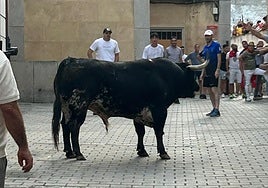 Malacara enciende las calles de Coria con una lidia más intensa