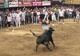 Un recortador con Malacara.