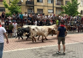 Encierro de 'Malcara'