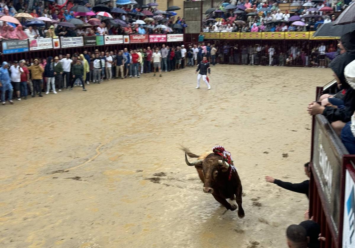 Espectadores bajo los paraguas.