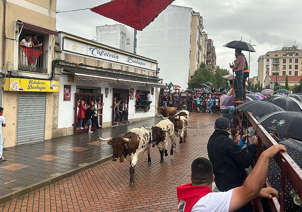 Encierro matinal de este viernes.