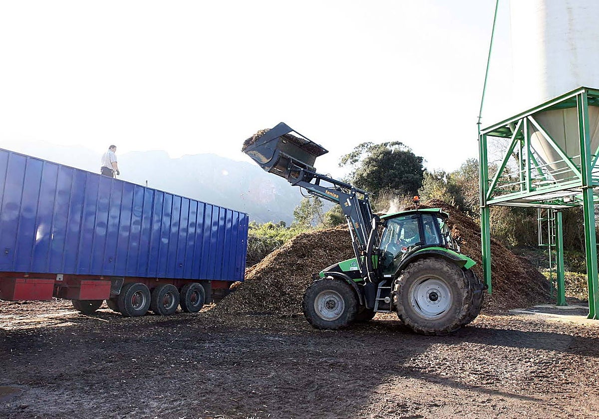 Tratamiento de residuos forestales en una planta de biomasa.