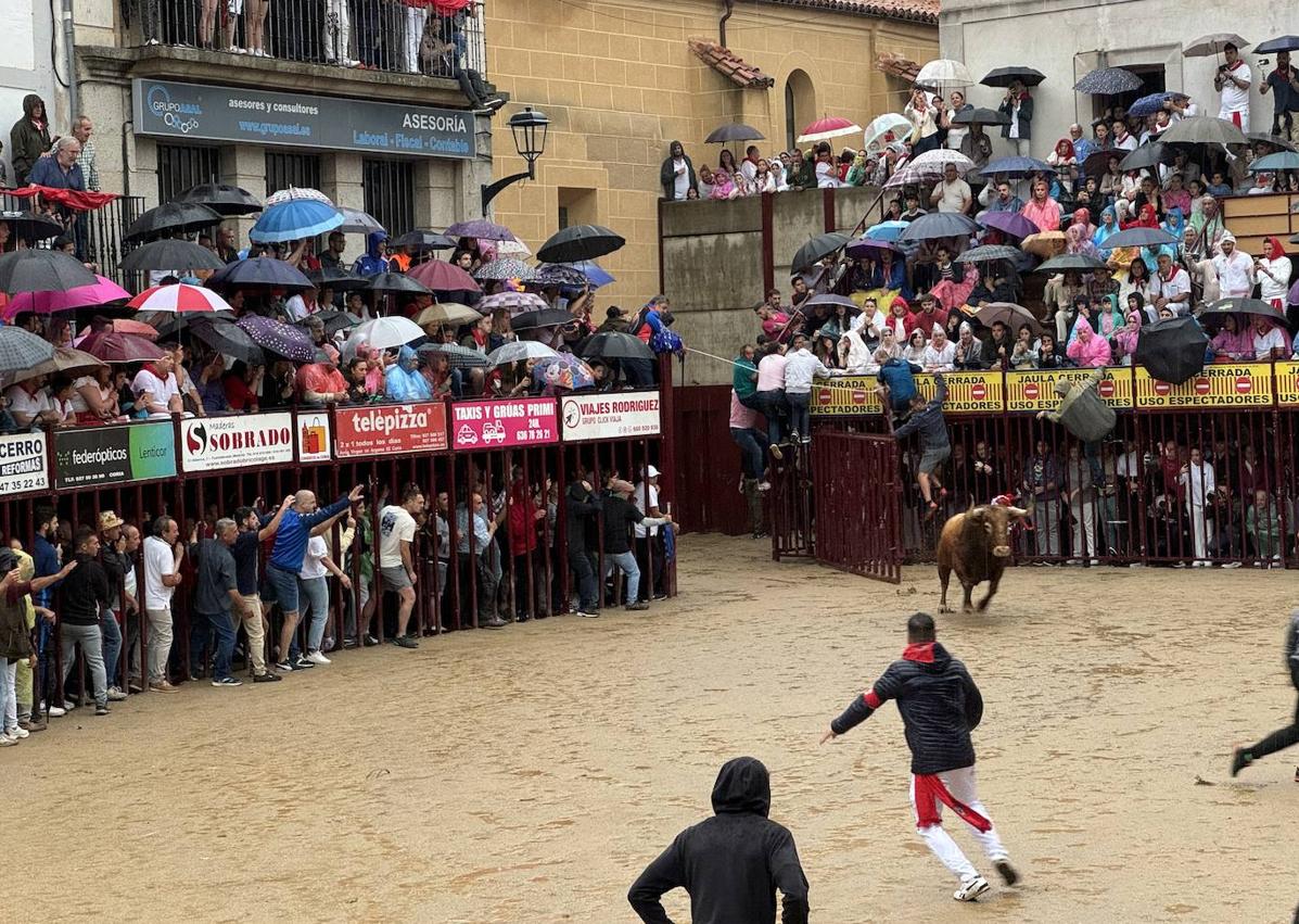 Imagen secundaria 1 - Última lidia de San Juan 2024 en Coria llena de emoción