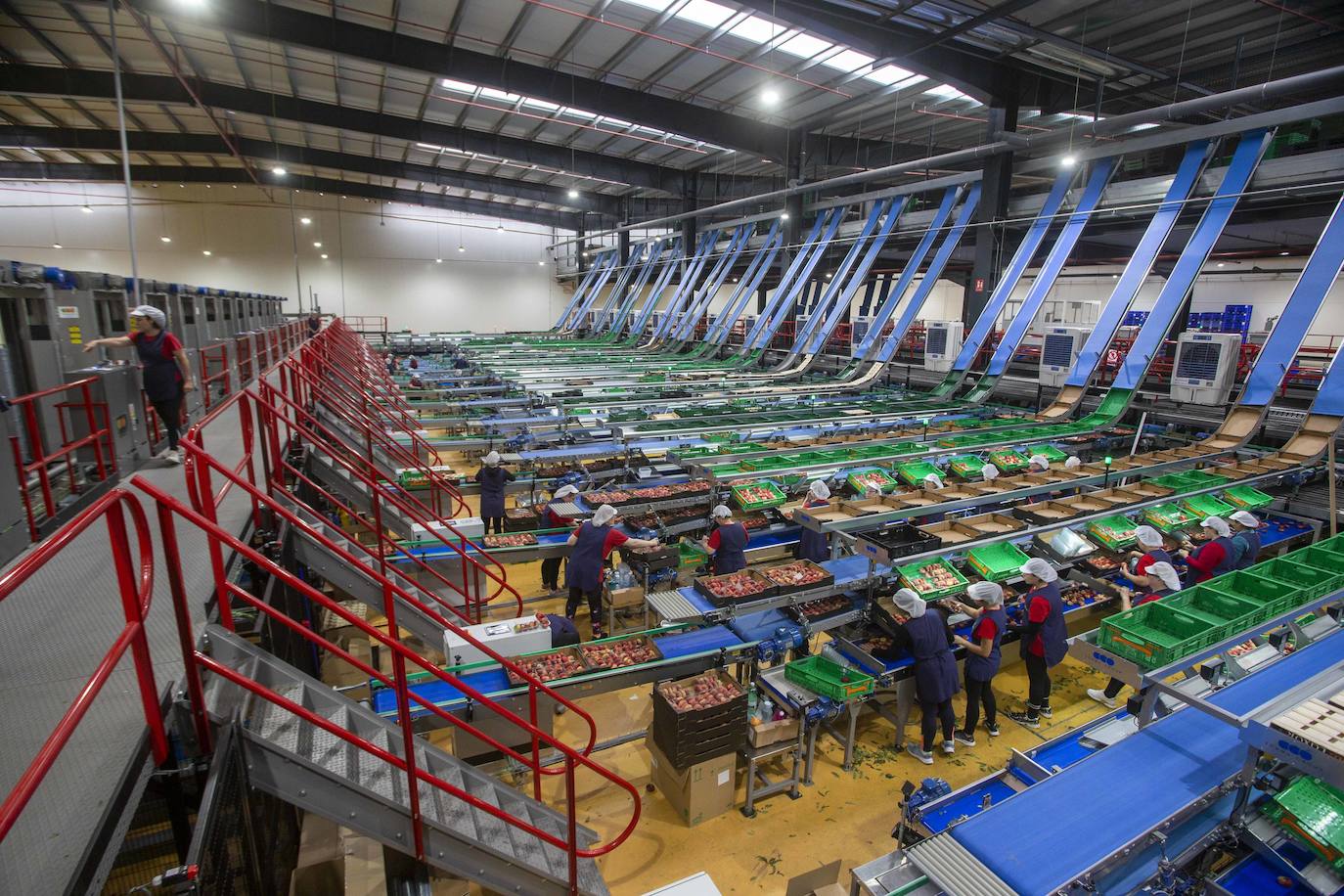 Panorámica de las nuevas instalaciones del grupo Catalá en la capital extremeña.