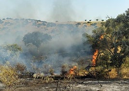 Incendio en Cabeza del Buey.