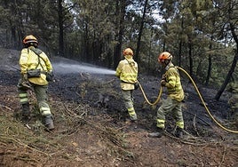 Imagen de archivo de bomberos forestales del Infoex trabajando en un incendio.