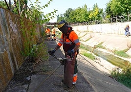 Los operaros desbrozan el arroyo calamón para que el lunes entre la máquina que limpiará el agua.