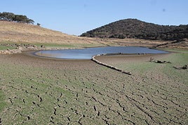 Estado del embalse de Tentudía en agosto de 2023.