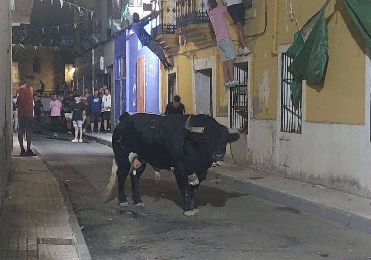 'Francés' ha sido el protagonista del toro del aguardiente.