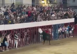 ¿Qué ha pasado hoy, 14 de julio, en Extremadura?