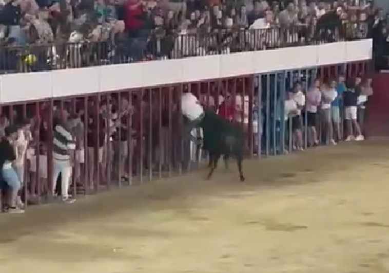 Momento en el que el hombre ha sido corneado en la plaza de Moraleja.