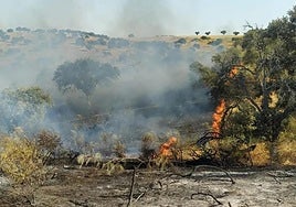 21 incendios forestales recomiendan extremar el cuidado