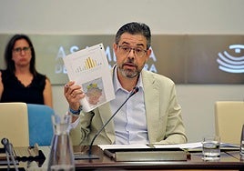 El director general de Prevención y Extinción de Incendios, en la Asamblea.