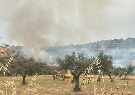 Un bombero junto a la zona del incendio en Salvatierra, ayer, junto al camino del Borbollón.