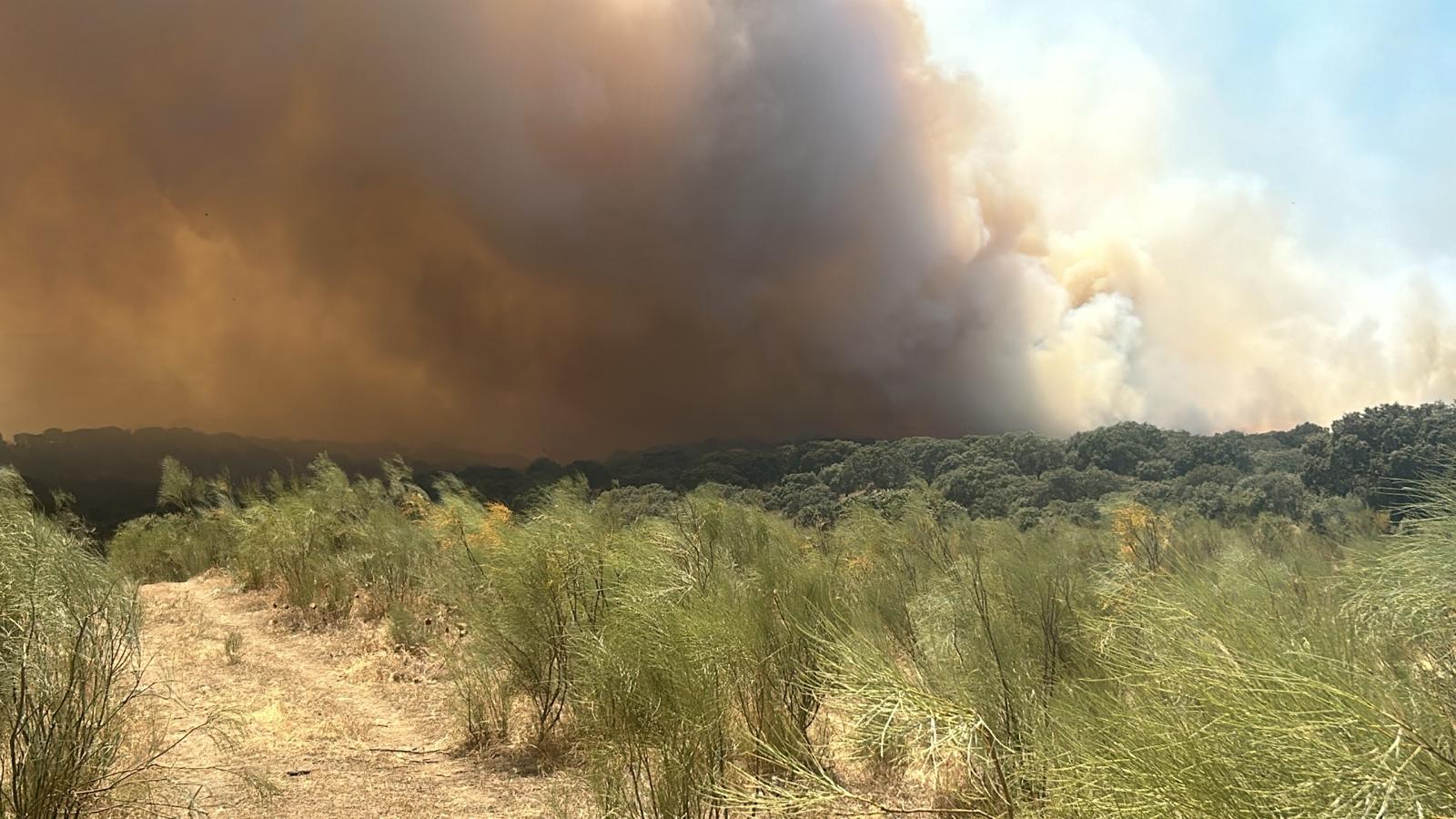 Así se ve el fuego declarado en Talaván