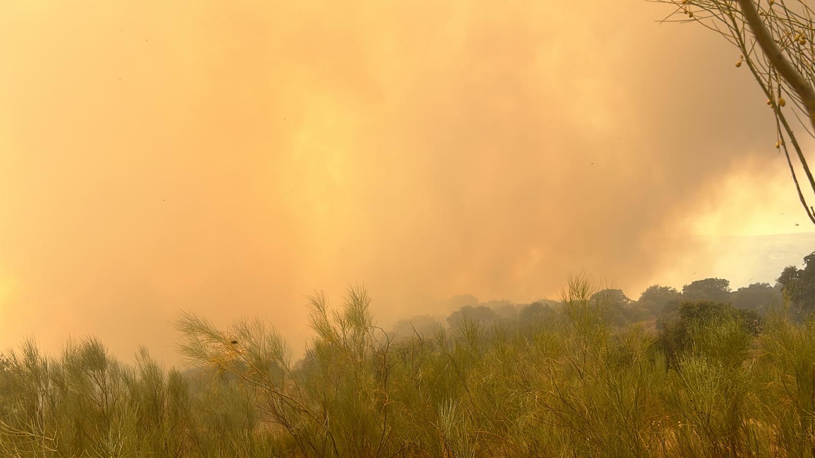 Así se ve el fuego declarado en Talaván