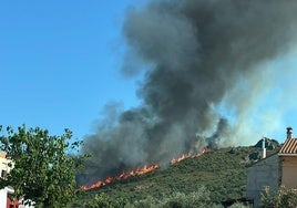 Imagen del incendio en Oliva de Mérida.